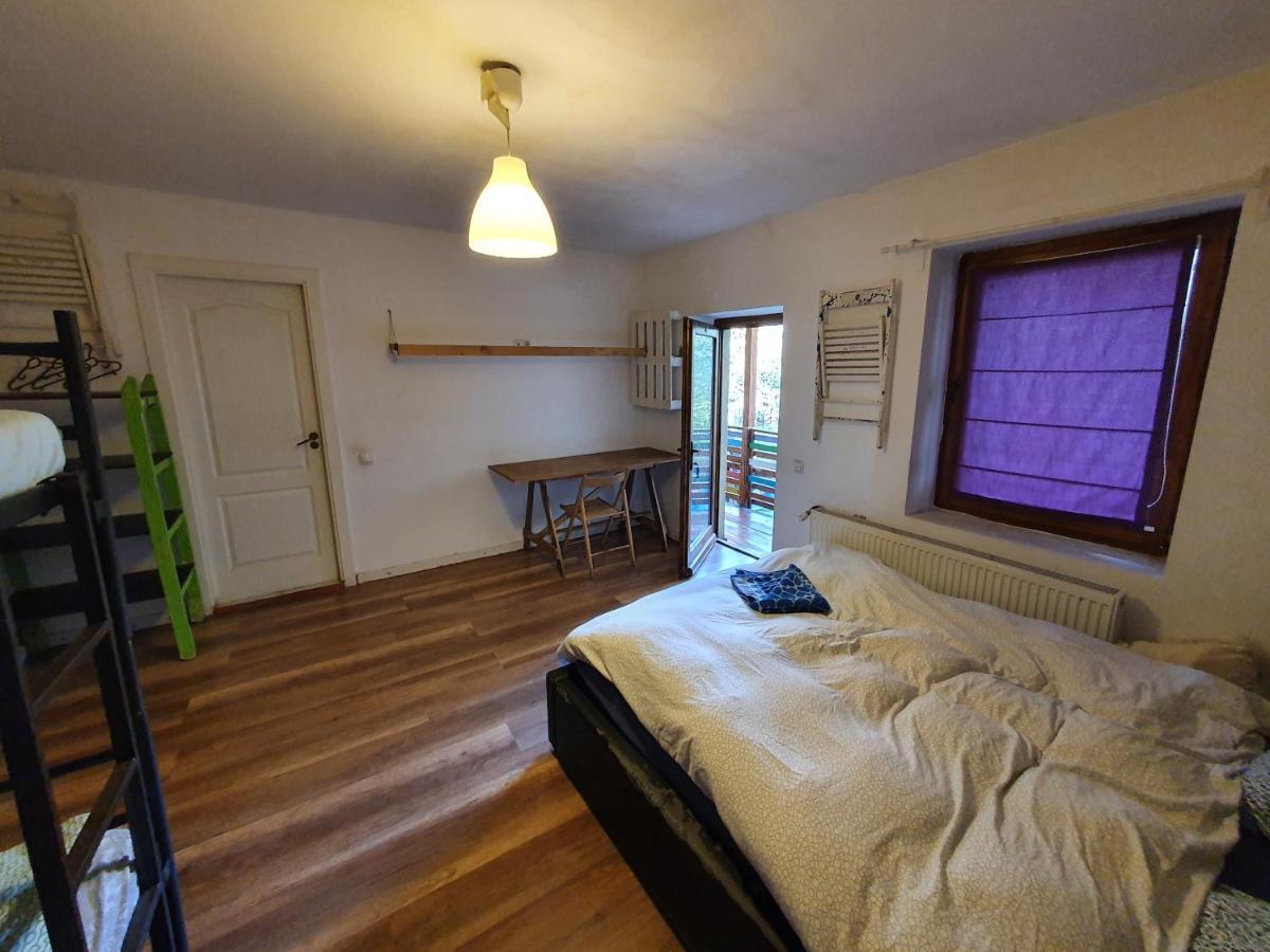 Zen Hostel Cluj-Napoca Esterno foto